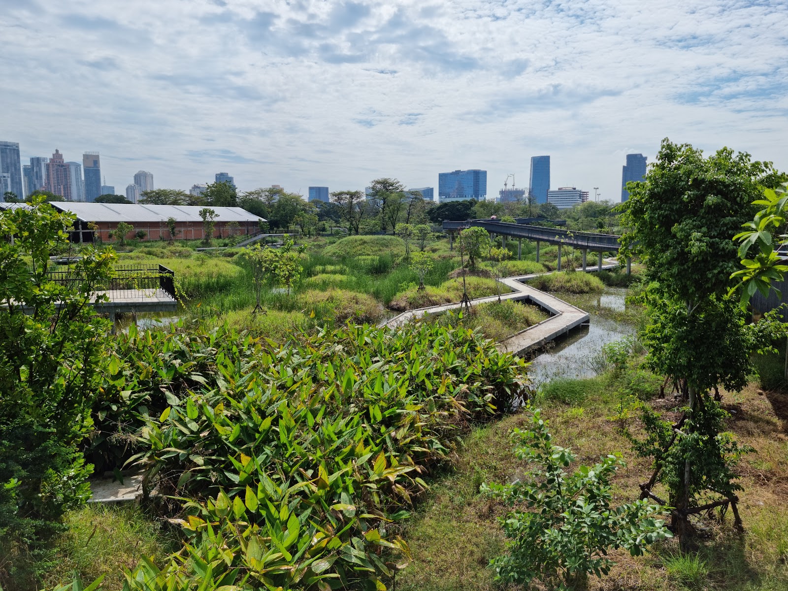 حديقة بنجاكيت Benchakitti Park