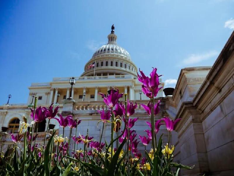 Featured image of post 美國的國會「參議院」與「眾議院」差在哪？分別有什麼樣的職權？不同州在「參議院」與「眾議院」人數比例分配是怎麼制定的？為什麼有的任期是 6 年，有的任期是 2 年？參議院比較重要還是眾議院？參議院與眾議院誰可以舉行聽證會進行調查？美國彈劾總統的流程步驟是什麼？