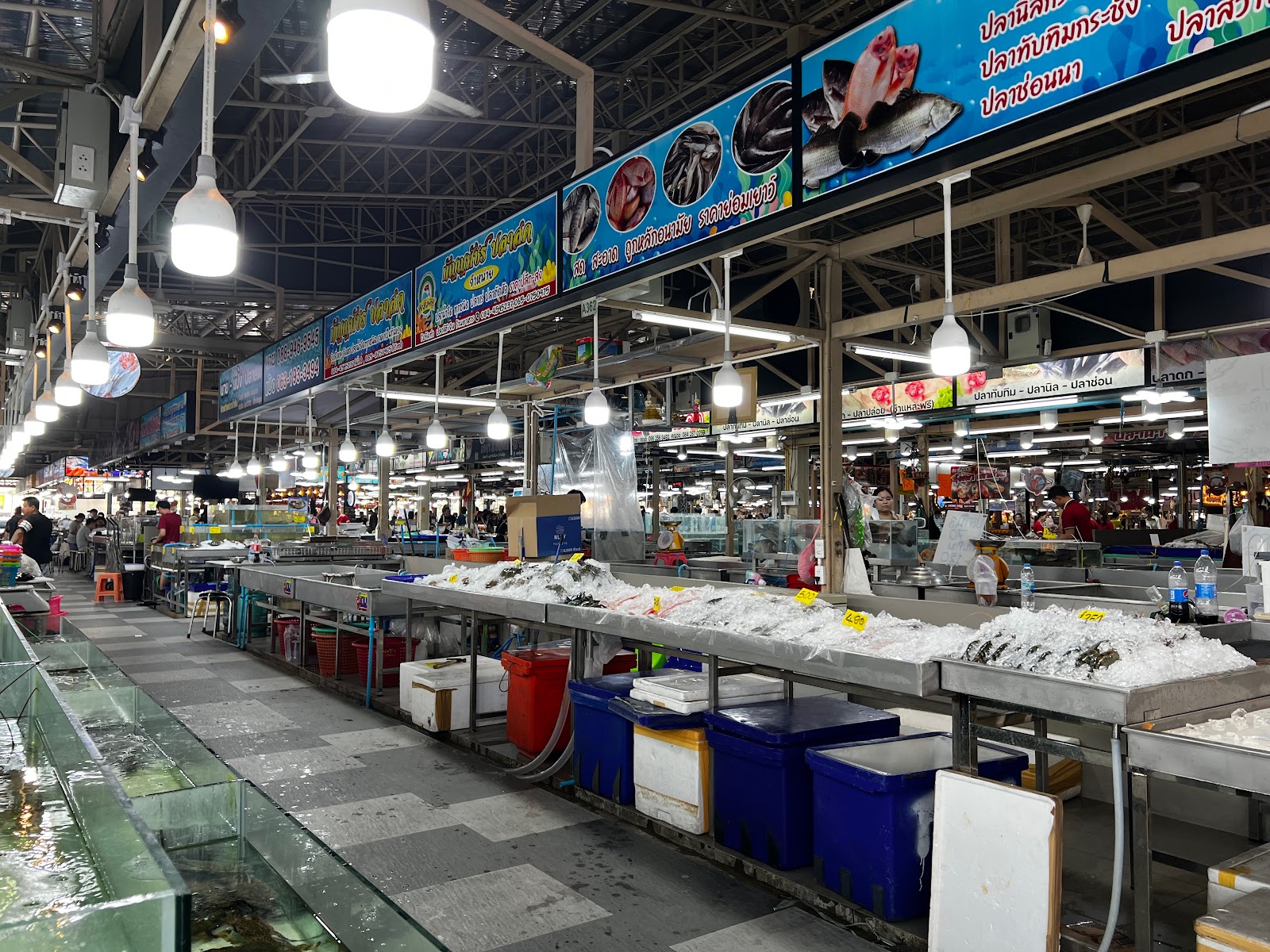 Thonburi Market Place (Bangkok’s Largest Seafood Market)