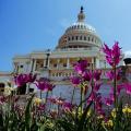 ¿Cuál es la diferencia entre el Senado y la Cámara de Representantes de Estados Unidos? ¿Qué poderes tienen respectivamente? ¿Cómo se determina la proporción de representantes de diferentes estados en el Senado y la Cámara? ¿Por qué algunos tienen mandatos de 6 años y otros de 2 años? ¿Es más importante el Senado o la Cámara de Representantes? ¿Quién puede celebrar audiencias de investigación entre el Senado y la Cámara? ¿Cuál es el proceso de destitución del presidente en Estados Unidos?