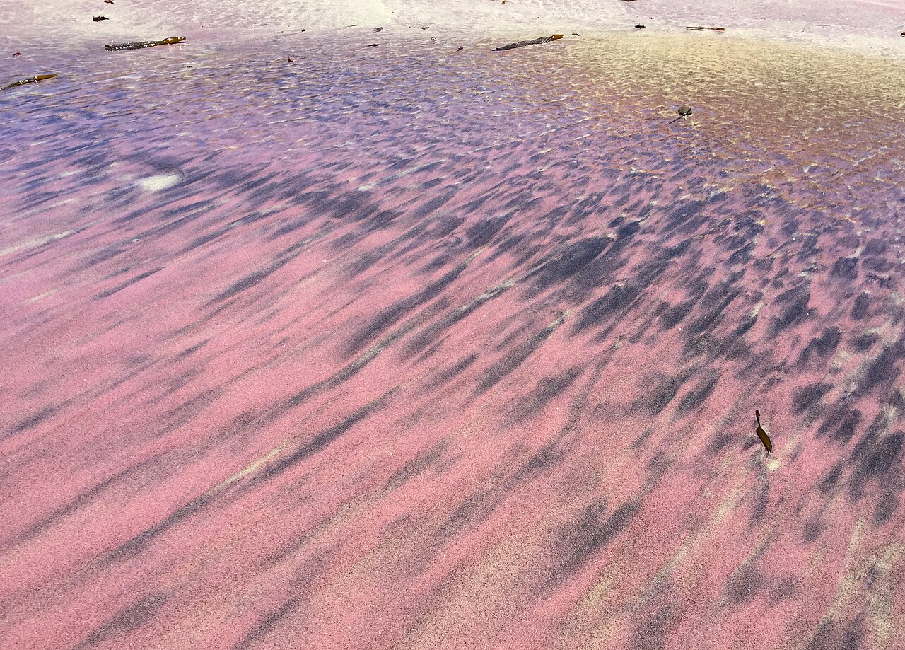 美國加州帕非佛紫色沙灘(Pfeiffer Beach)- By Justin Dolske - https://www.flickr.com/photos/dolske/28151845936/, CC BY-SA 2.0, https://commons.wikimedia.org/w/index.php?curid=112555342