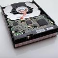 Apa arti Biru, Merah, Hitam, Ungu, Emas pada hard disk WD? Bagaimana cara membedakannya?