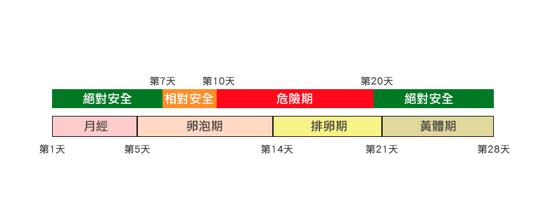 女性の生理周期