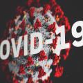 从 Covid 19 了解病毒命名规则